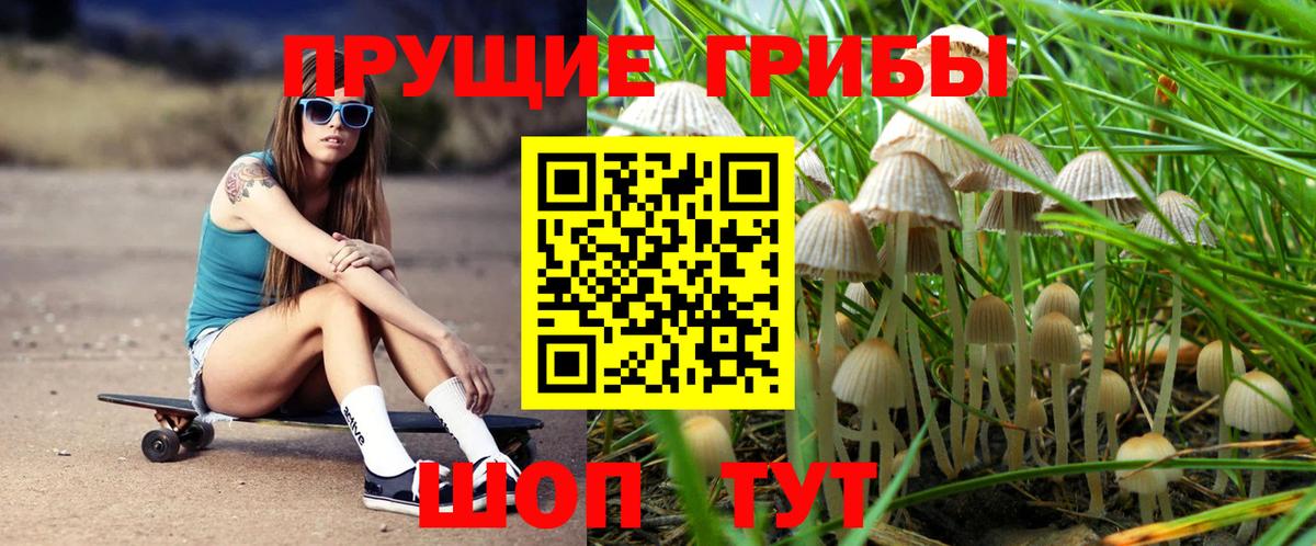 Кострома  Галлюциногенные грибы GOLDEN TEACHER  Псилоцибиновые грибы GOLDEN TEACHER  Вход с VPN 
