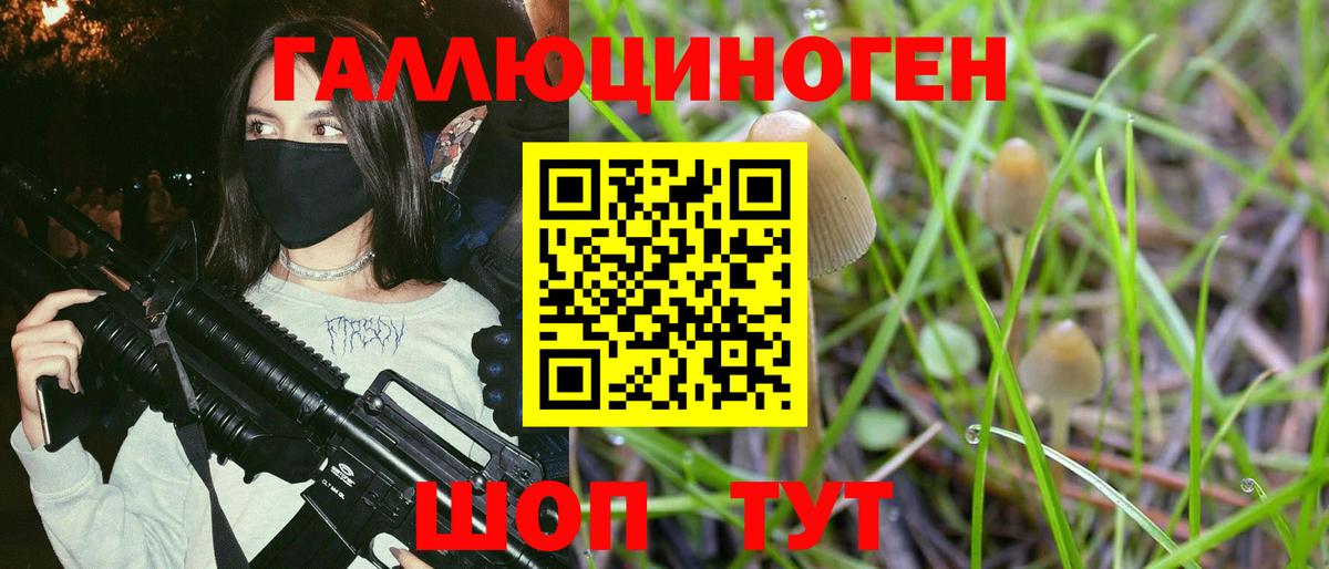 Псилоцибиновые грибы прущие грибы Кострома